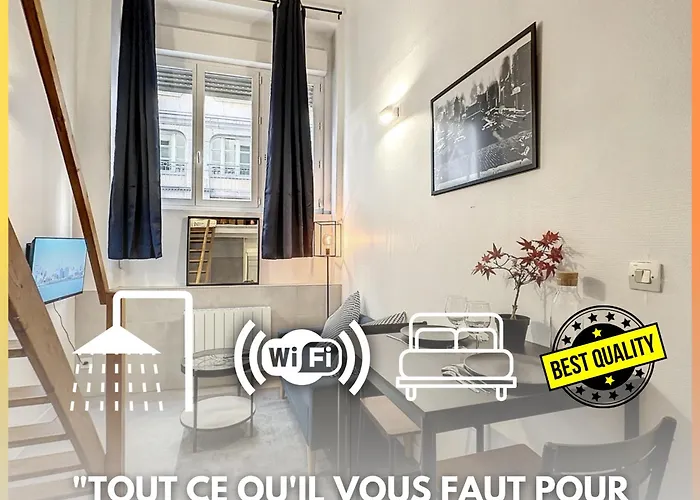 Cosy Appt Coeur De Lyon 1 Imbert